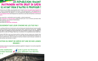 Image / illustration